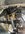 IMG_4387.jpeg