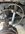 IMG_4385.jpeg