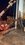 IMG_7158.jpeg