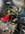 IMG_0418.jpeg IMG_0418.jpeg