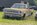IMG_8351.jpeg