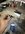 IMG_1139.jpeg
