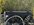 IMG_3247.jpeg IMG_3247.jpeg