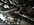 IMG_4403.jpeg