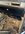 IMG_4402.jpeg