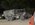 IMG_8375.jpeg