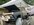 IMG_2323.jpeg