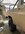 IMG_2326.jpeg
