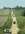 IMG_1417.jpeg