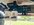 IMG_2718.jpeg