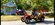 IMG_9699.jpeg