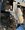 IMG_6048.jpeg