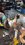 IMG_7233.jpeg