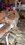 IMG_7232.jpeg