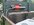 IMG_1463.jpeg