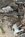 IMG_6052.jpeg