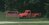 IMG_20250609_141805519_MP~2.jpg