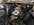 IMG_3303.jpeg