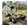 IMG_1366.jpeg