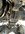 IMG_3479.jpeg