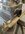 IMG_0185.jpeg