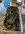 IMG_0186.jpeg