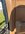 IMG_6277.jpeg