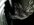 image0.jpeg