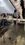 IMG_7280.jpeg
