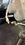 IMG_7283.jpeg