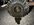 IMG_7515.jpg IMG_7515.jpg