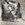 IMG_2749.jpeg