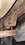 IMG_7315.jpeg