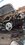 IMG_7317.jpeg