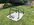 IMG_2394.jpeg
