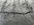 IMG_3327.jpeg