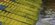 IMG_9856.jpeg