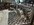 IMG_6238.jpeg