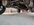 IMG_5699.jpeg