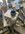 IMG_0208.jpeg