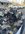 IMG_2517.jpeg