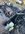 IMG_2520.jpeg