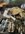 IMG_0222.jpeg
