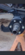 IMG_0019.png