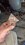IMG_7370.jpeg
