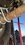 IMG_7371.jpeg