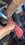 IMG_7372.jpeg