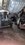 IMG_7376.jpeg