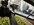 IMG_3381.jpeg