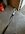 IMG_3378.jpeg